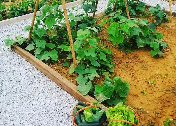 Charming House Atalaia + Pool