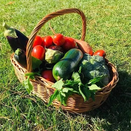 Dom wakacyjny Charming House Atalaia + Pool Lourinhã