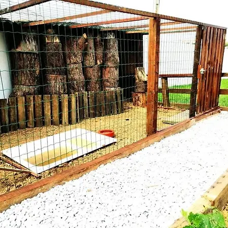 Dom wakacyjny Charming House Atalaia + Pool *