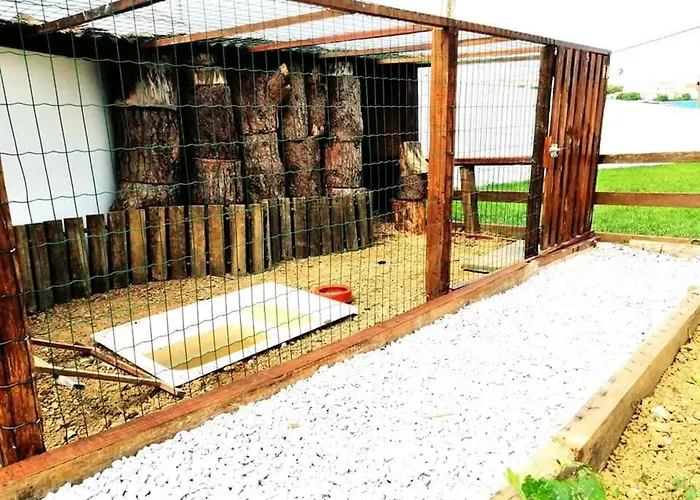 Holiday home Charming House Atalaia + Pool *